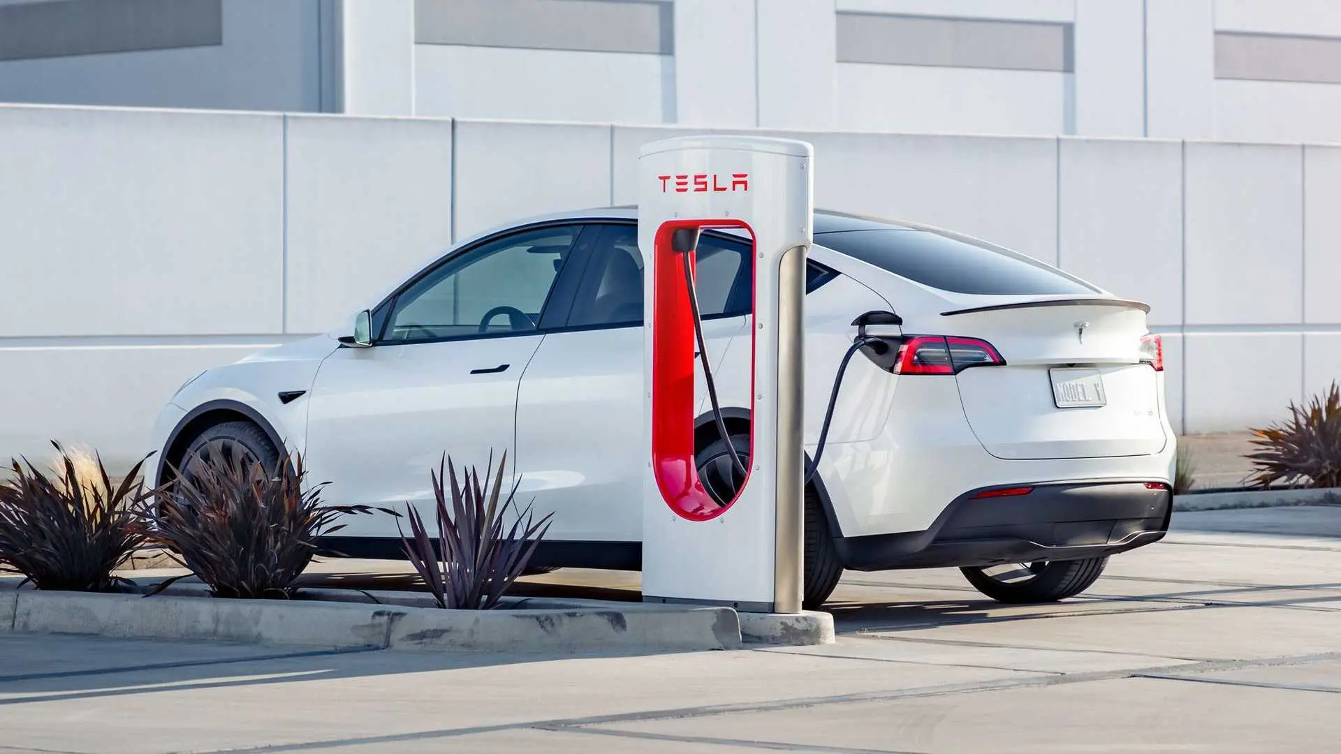 tesla-model-y-charging-at-a-tesla-supercharging-station.jpg