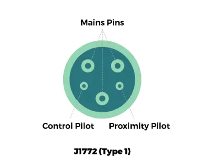 Type-1-Diagram-.png